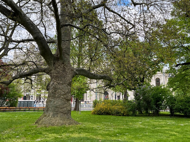 Rathauspark