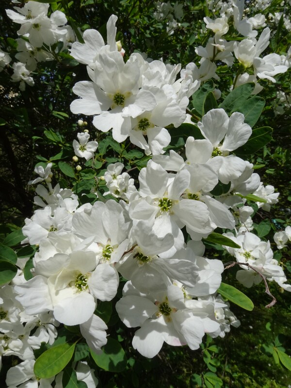 Botanical Garden