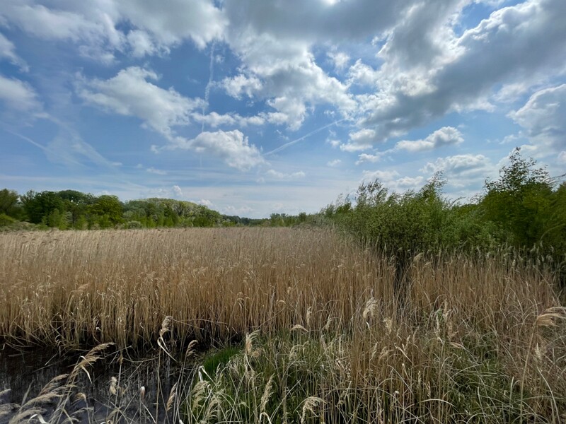 Nationalpark Donau-Auen